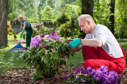 Community garden scene in Heston illustrating inclusive access and maintenance activities