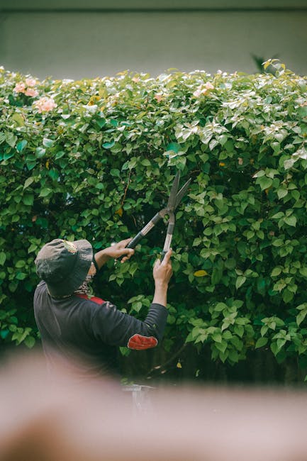 A person wearing a dark blue uniform and a helmet is walking along a narrow garden pathway with a leaf blower on their back, engaged in garden maintenance. The pathway is bordered by a well-manicured 